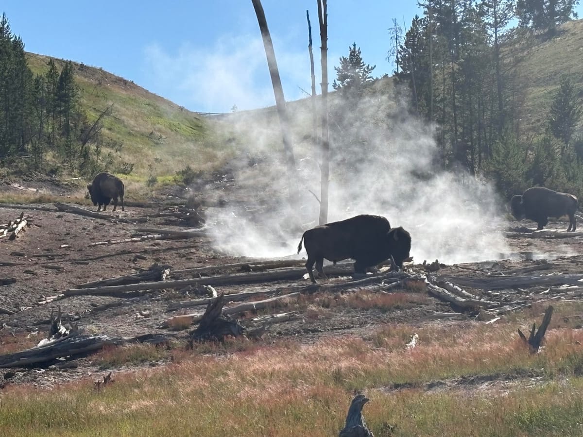 #44 Consider the Awe for Effort metric